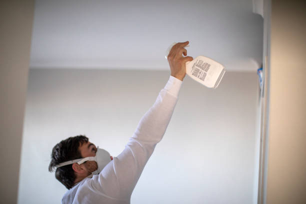 Mold Removal and Inspection in South Valley Stream, NY